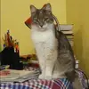 Отзыв от Динара Сычева